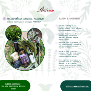 Билкова прегръдка с розмарин – Мистика