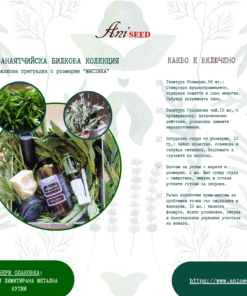 Билкова прегръдка с розмарин – Мистика