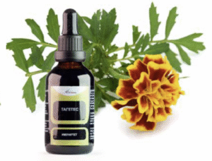 тинктура тагетес / tincture Tagetes